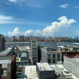 Dumbo Short Term Rentals Leasebreak Com